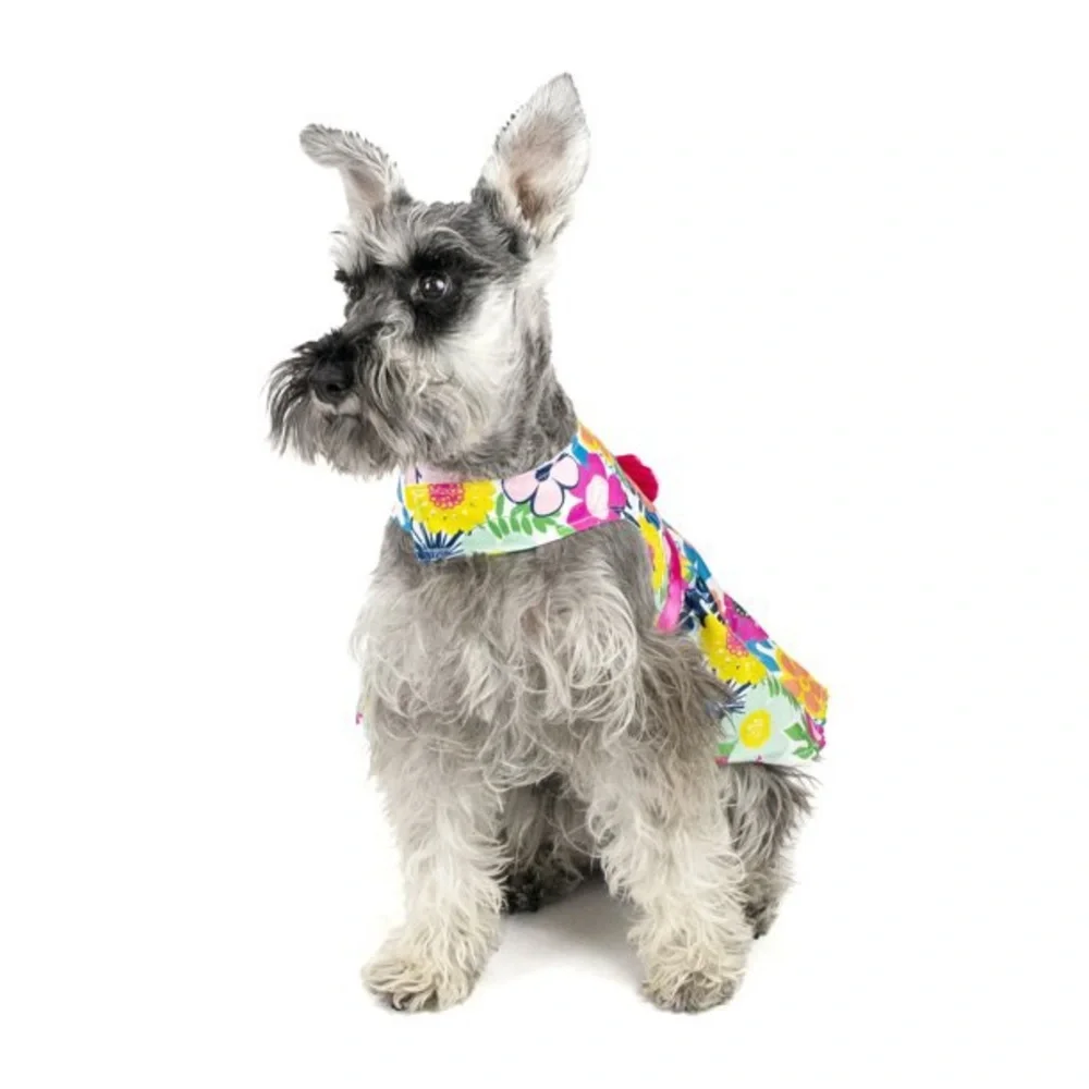 Vibrant Life Bright Floral Dog Dress, Size Small